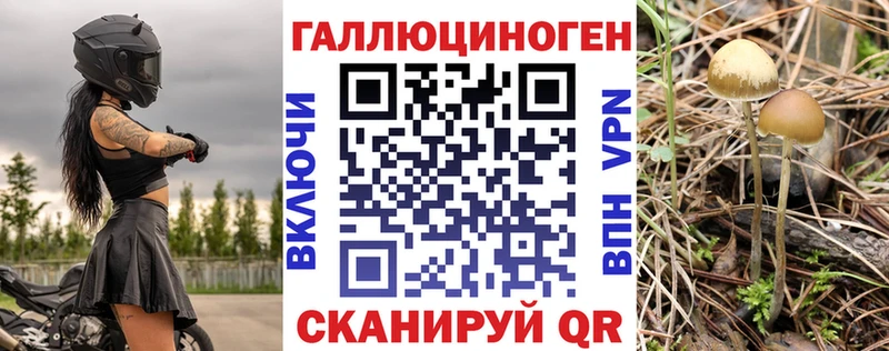 Галлюциногенные грибы Psilocybe  Купить  Юхнов 